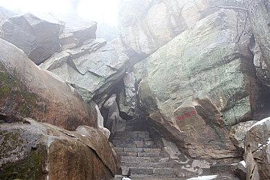 《火爆狂飙》3A新作或在开发中 使用虚幻5引擎